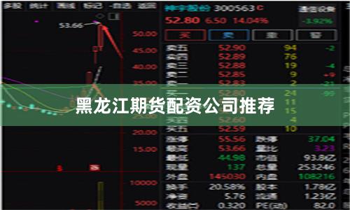 黑龙江期货配资公司推荐